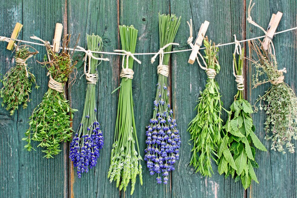 herbs for good luck and well-being